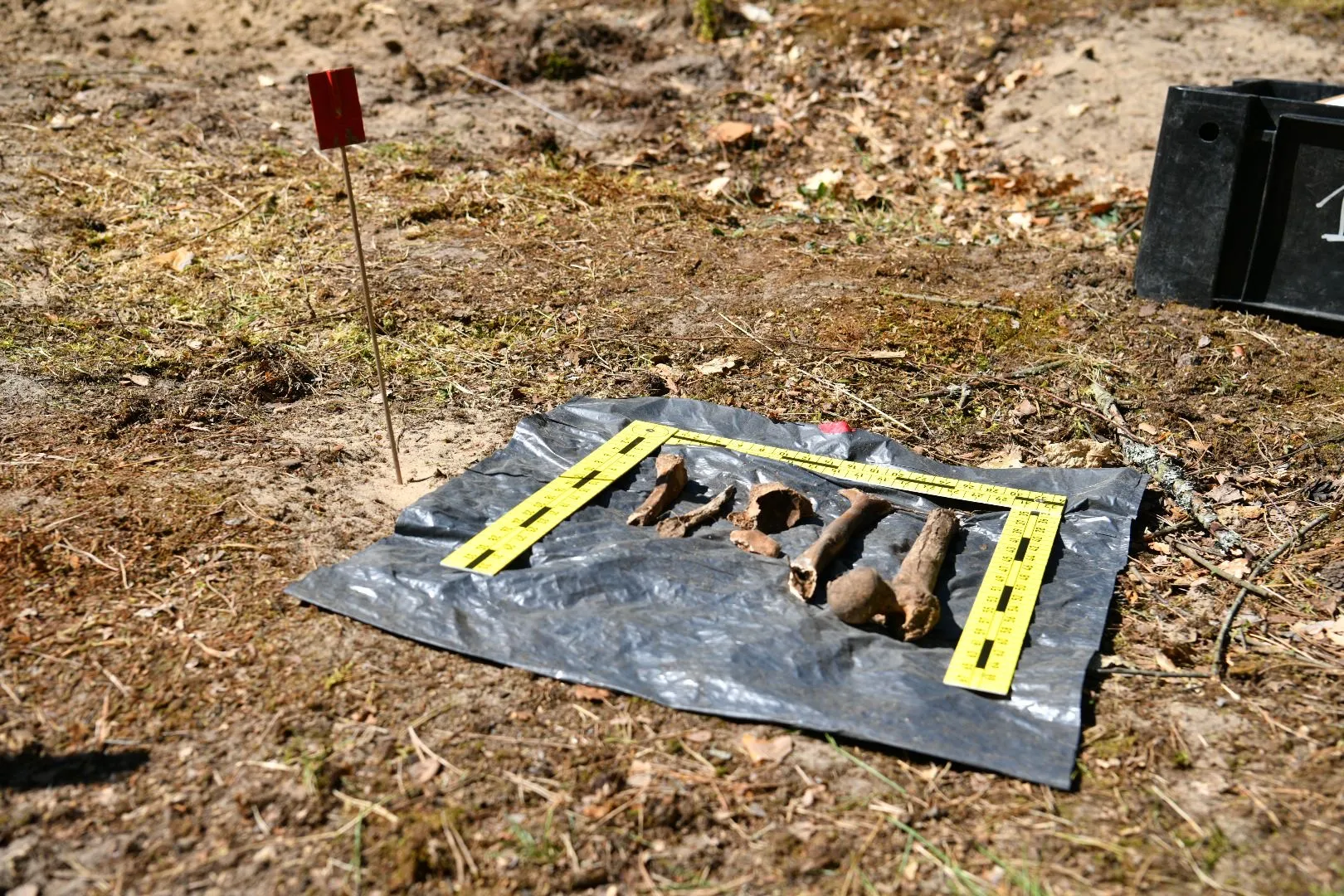 Miejsce poszukiwań. Fot. Facebook/Instytut Pamięci Narodowej