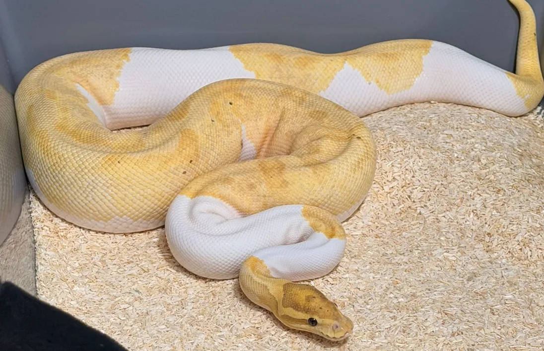 fot. Policja Małopolska