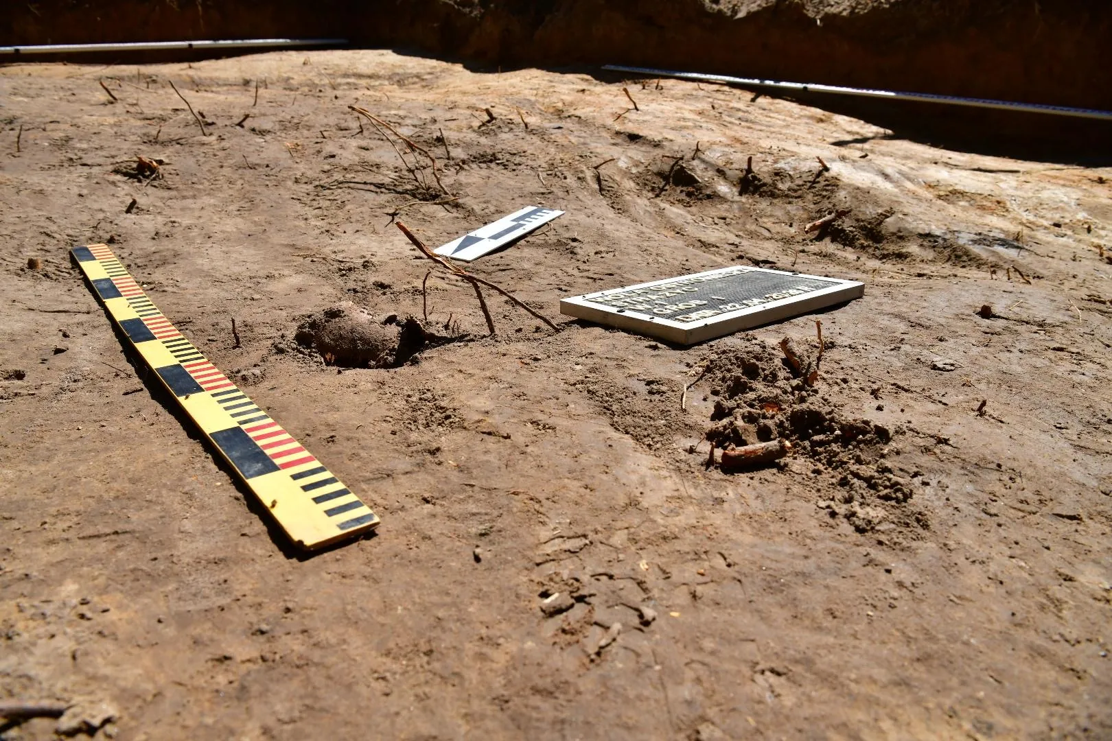 Polski IPN powiadomił o szczątkach pięciu osób. Fot. X/IPN