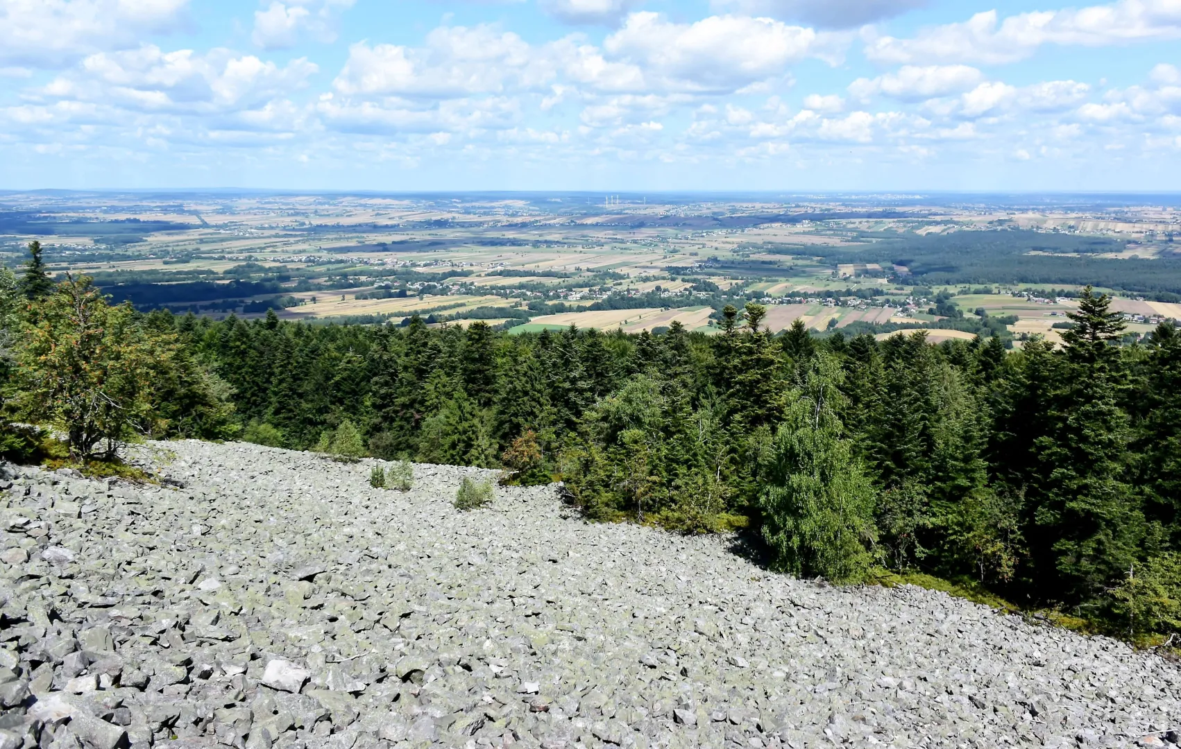 Widok na gołoborze w Świętokrzyskim Parku Narodowym. Fot. PAP/Piotr Polak