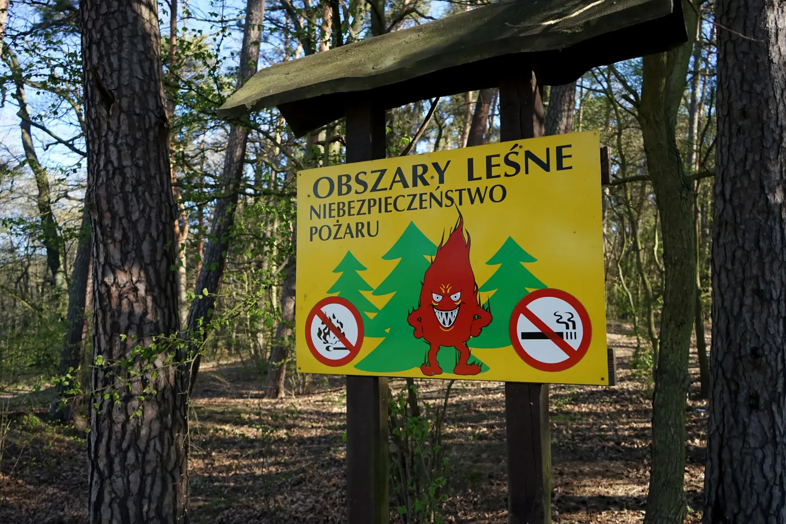 Tablica informacyjna w lesie w Szczecinie. Fot. PAP/Marcin Bielecki