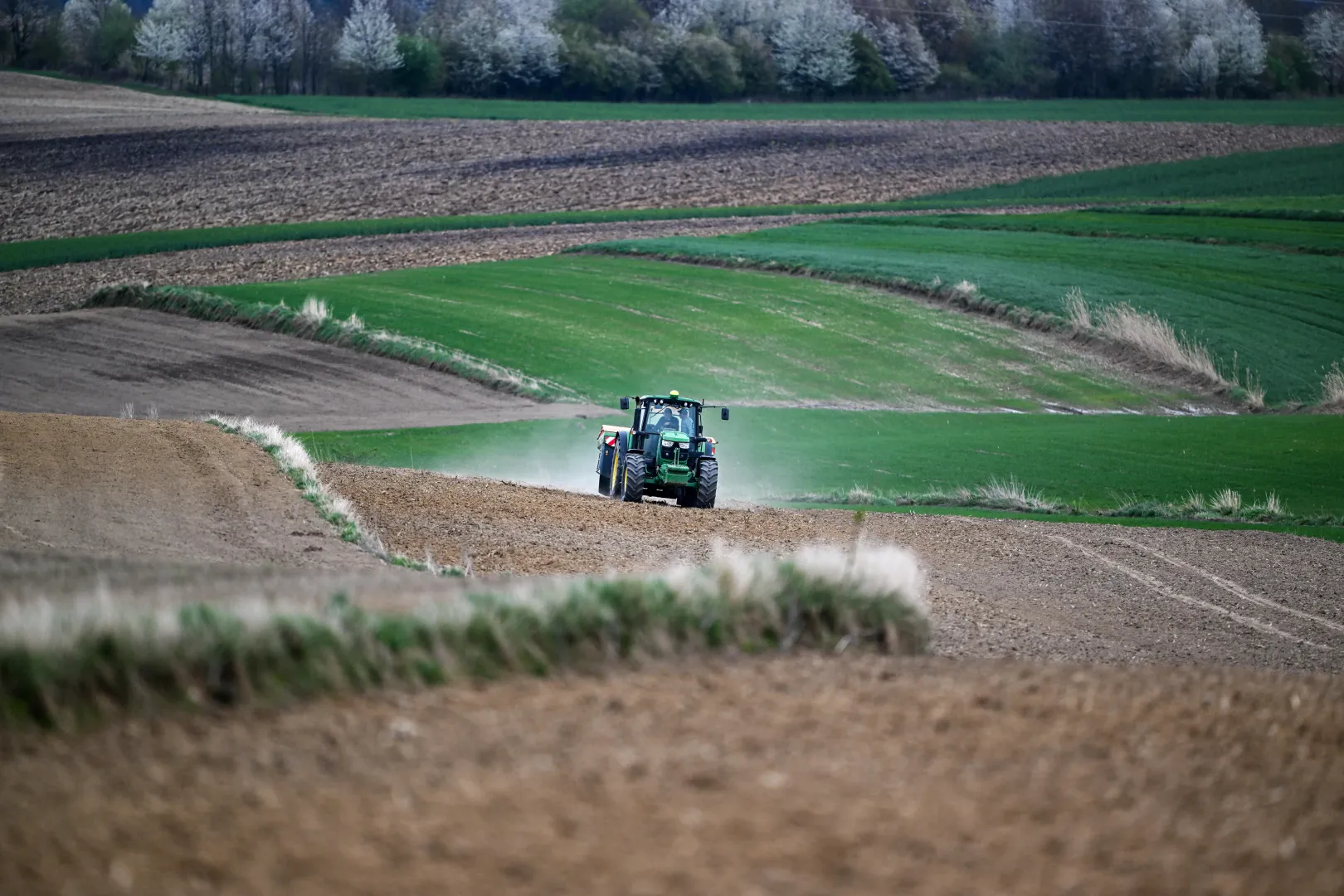 Nowak: Nasz budżet na wieś i rolnictwo będzie wyższy niż fundusze przewidziane dla Niemiec czy Włoch. Fot. PAP/	Darek Delmanowicz