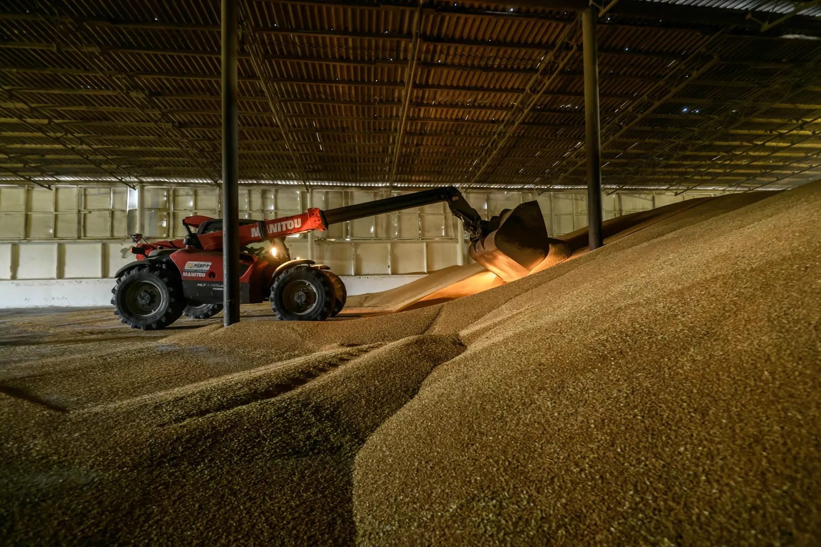 Żniwa pszenicy, zdjęcie ilustracyjne, fot. PAP/Vladyslav Musiienko