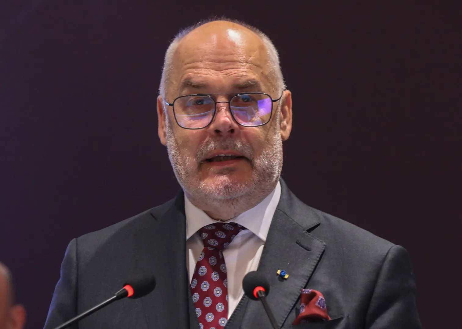 Президент Эстонии Алар Карис. Fot. PAP/EPA/RAJAT GUPTA