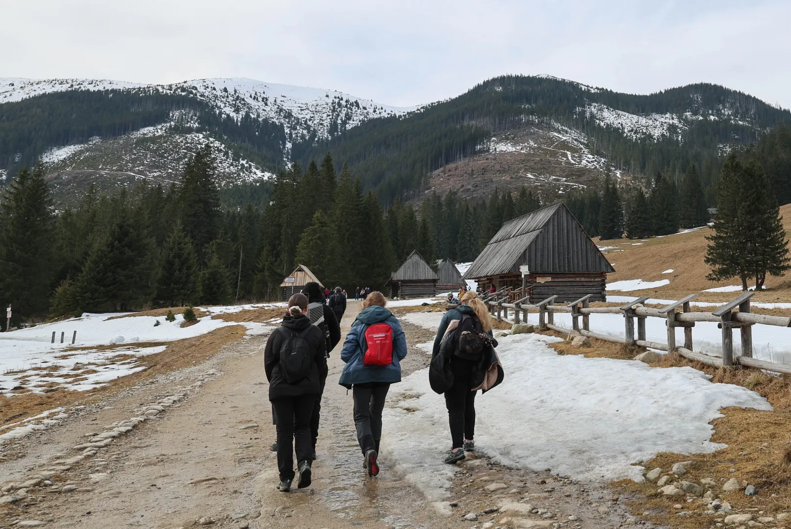  Turyści w Dolinie Chochołowskiej w Tatrach Fot. PAP/Grzegorz Momot