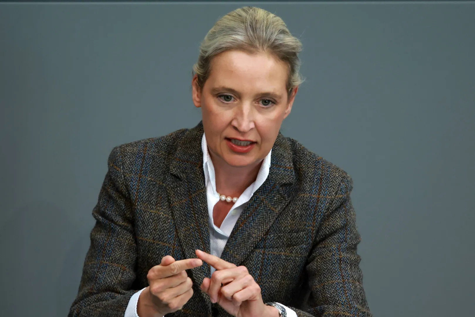Liderka AfD Alice Weidel. Fot. PAP/EPA/CLEMENS BILAN