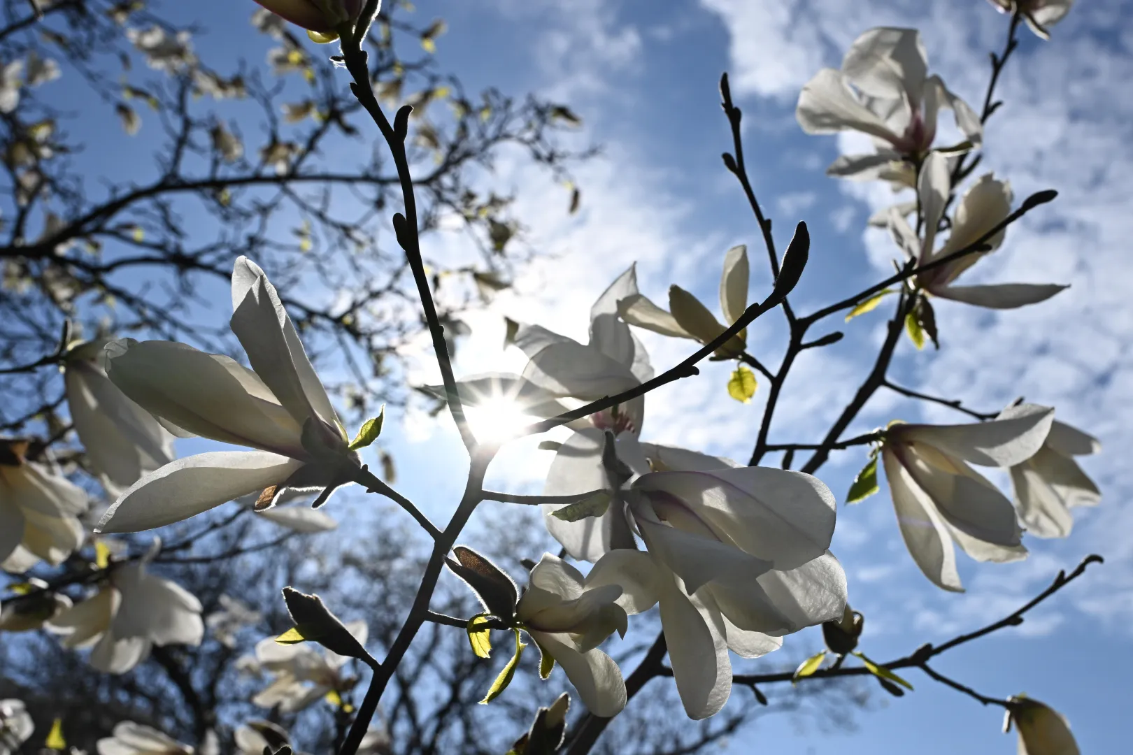 Zdjęcie ilustracyjne Fot. PAP/Radek Pietruszka