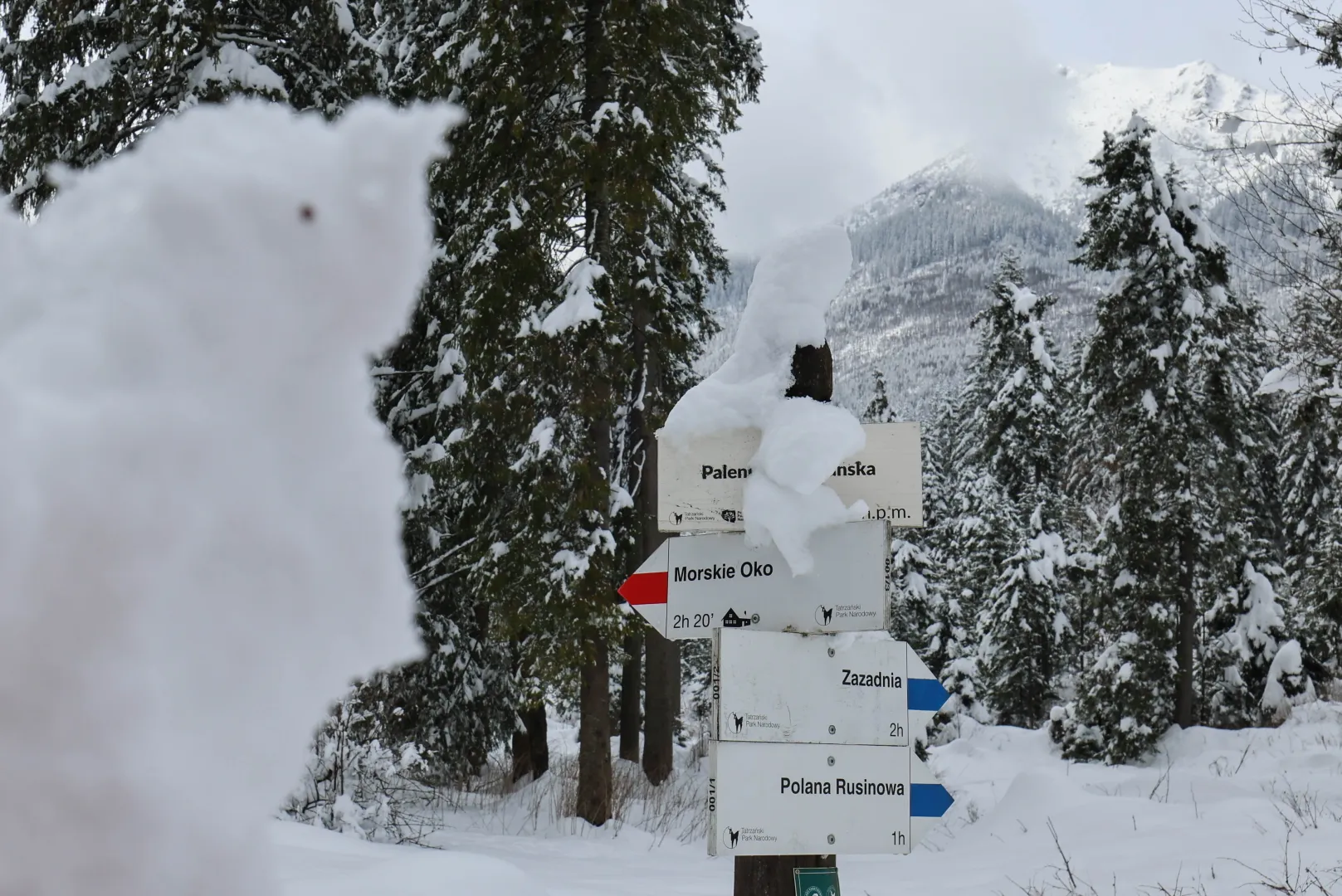 Tatrzański Park Narodowy (zdjęcie ilustracyjne). Fot. PAP/Grzegorz Momot