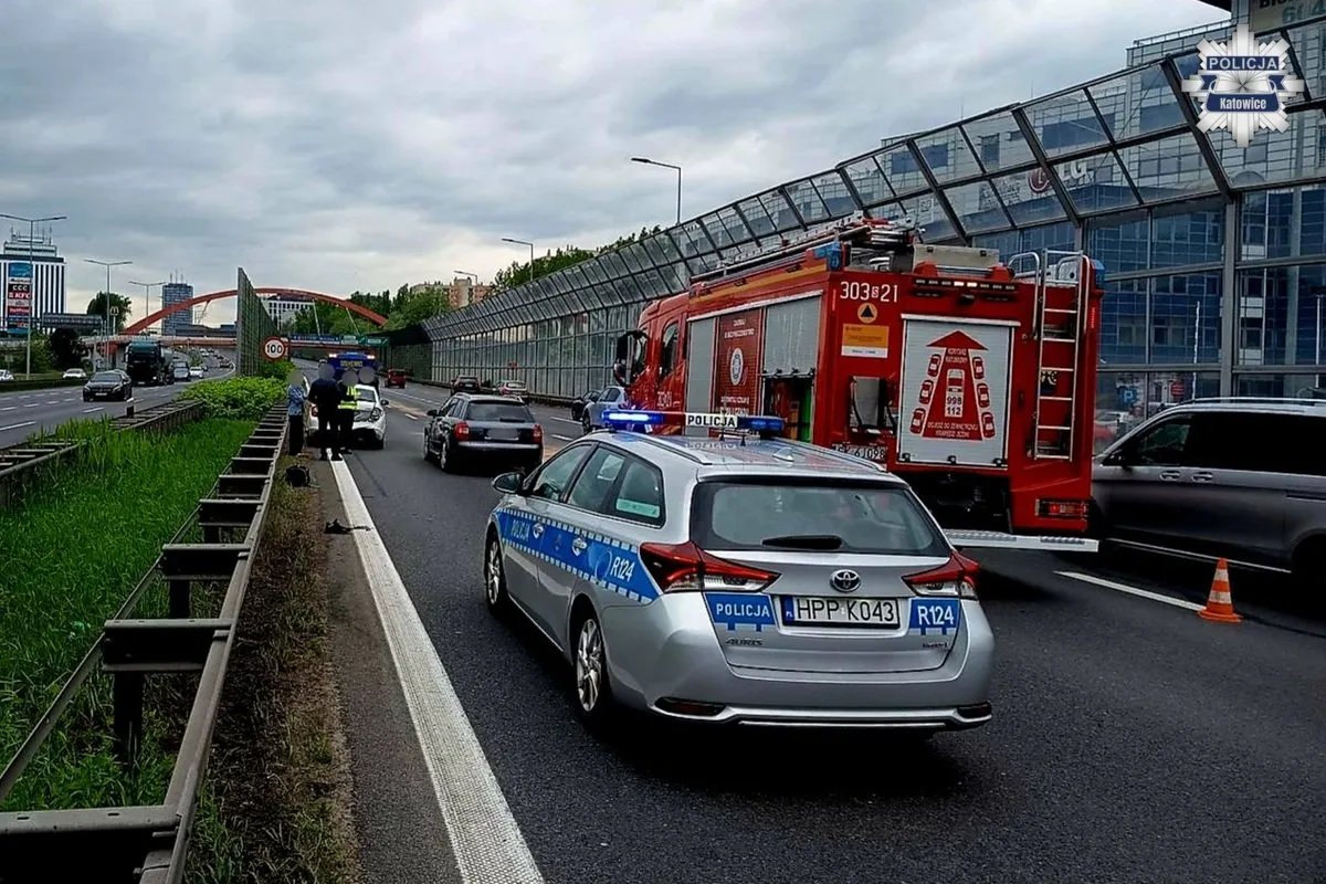 fot. Komenda Miejska Policji w Katowicach