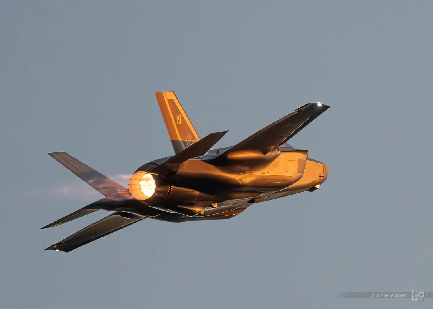 F-35. Fot. MON/X