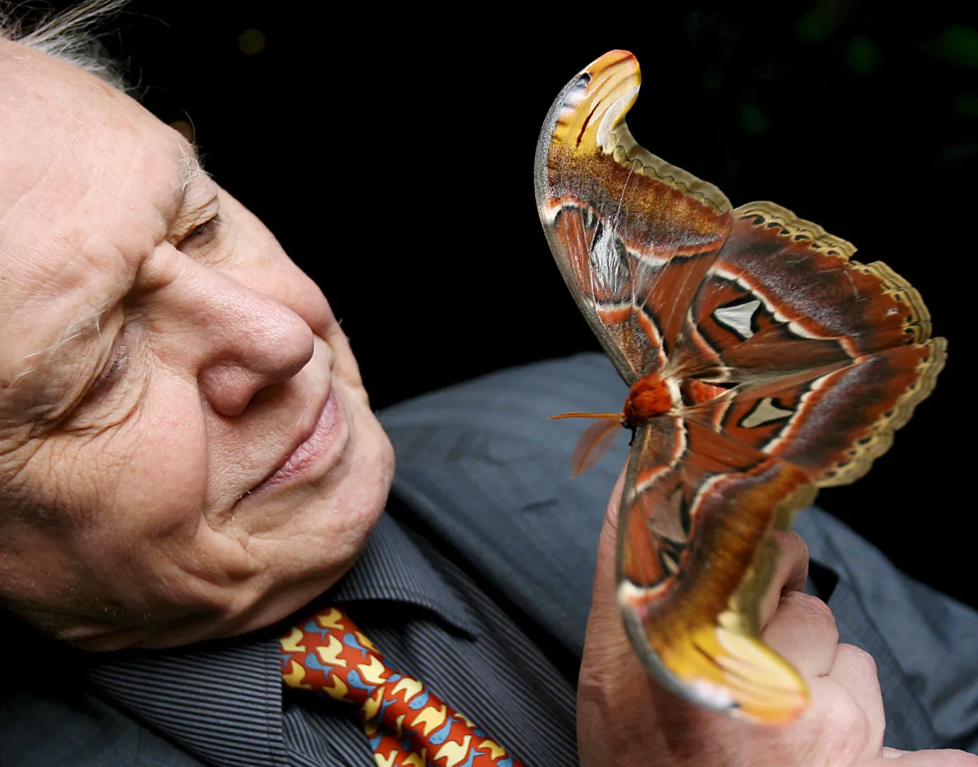 Sir David Attenborough. Fot. PAP/ EPA/ANDY RAIN