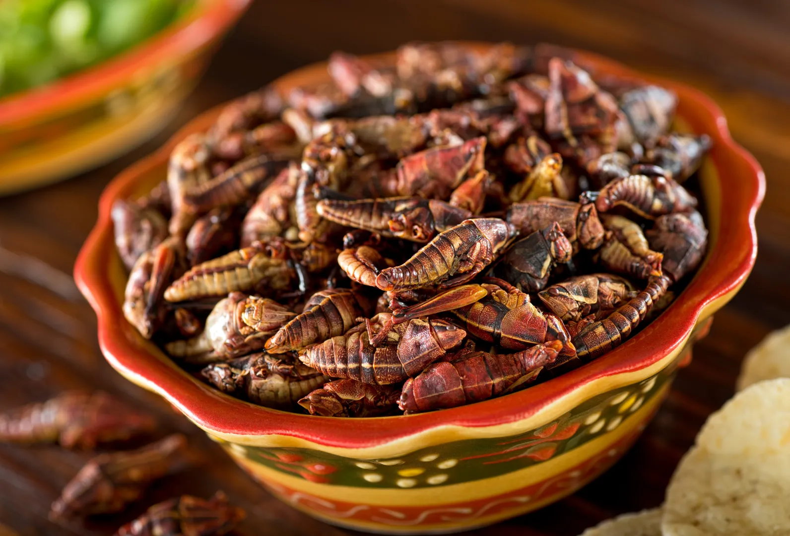 Chapulines. Fot. fudio/Adobe Stock