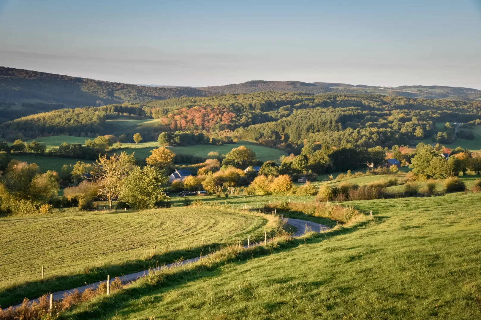 Widok na belgijskie Ardeny. Fot. Wouter/Adobe Stock
