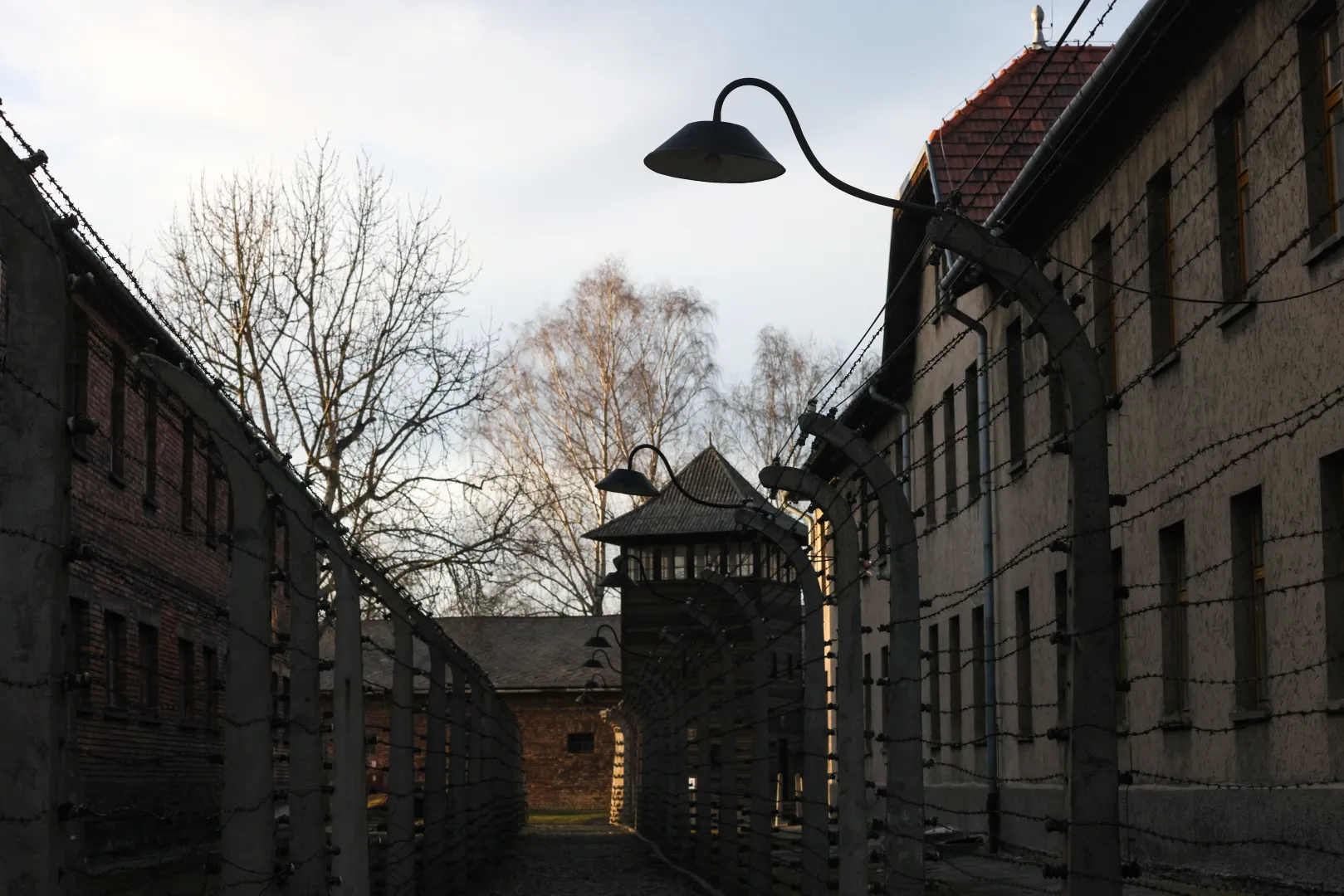 Teren byłego obozu Auschwitz II-Birkenau w Brzezince. Fot. PAP/Leszek Szymański