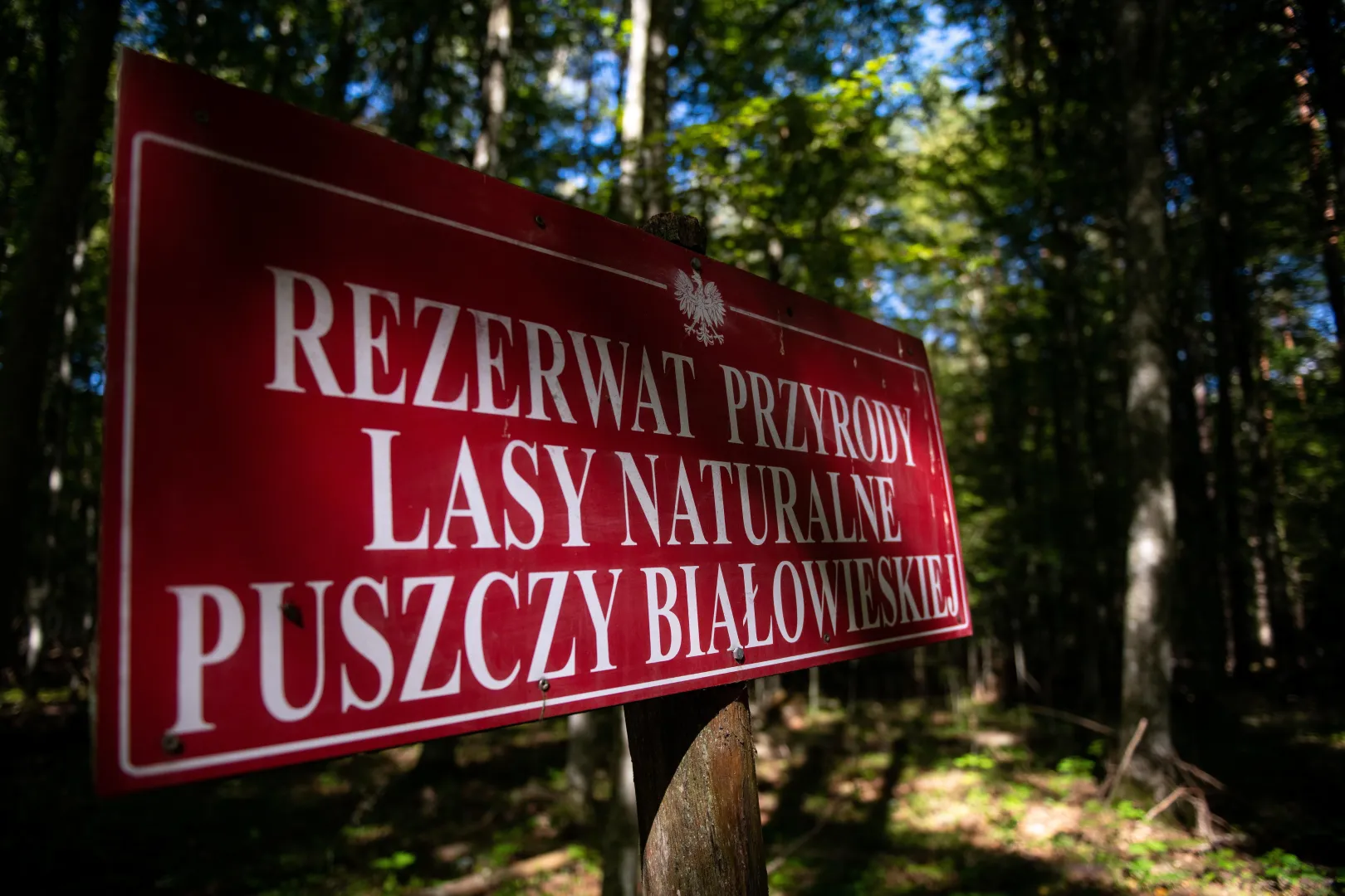 UNESCO doceniło działania Polski. Fot. PAP/	Michał Zieliński