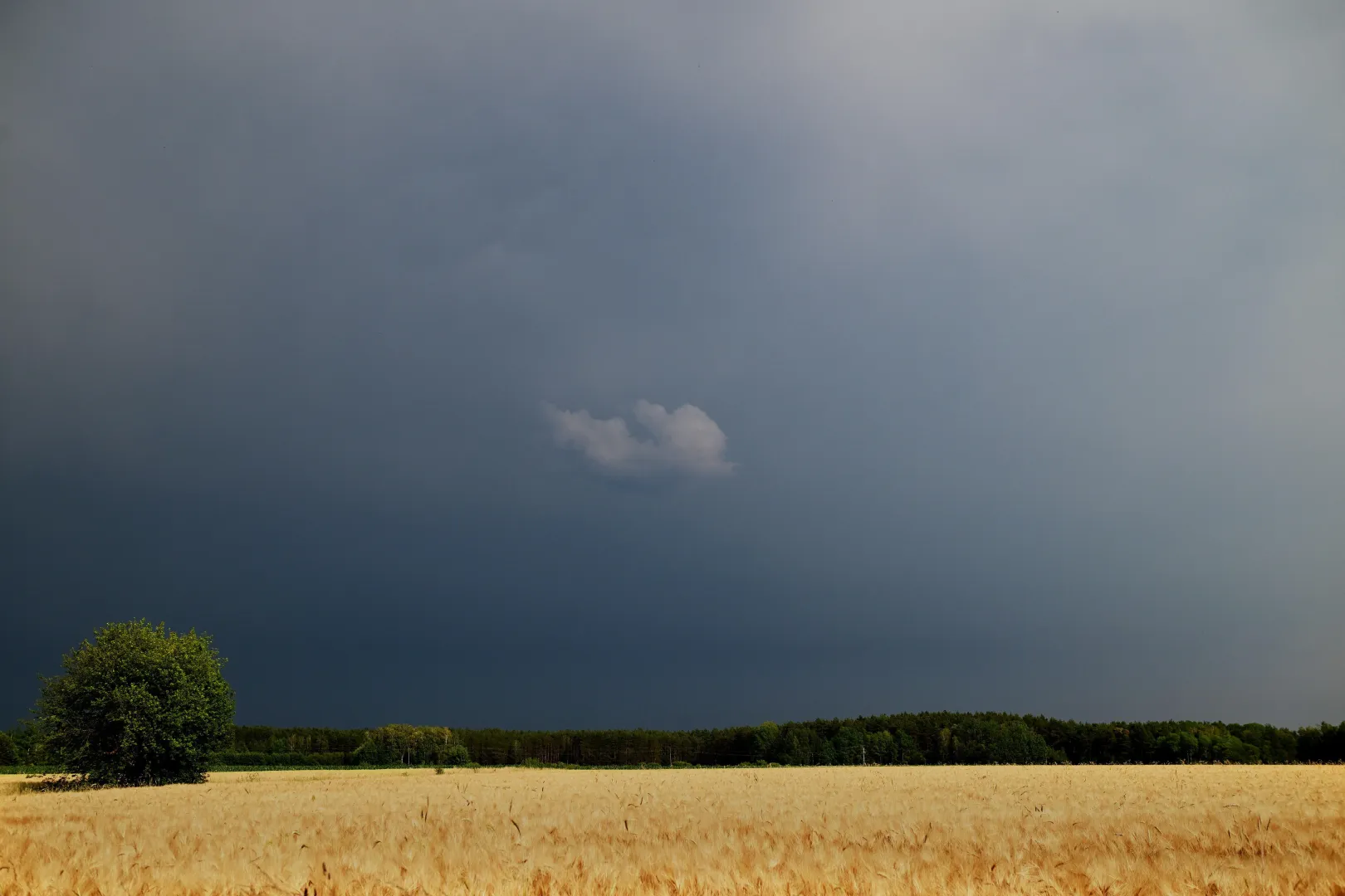 Chmury burzowe nad polami. Fot. PAP/Michał Zieliński