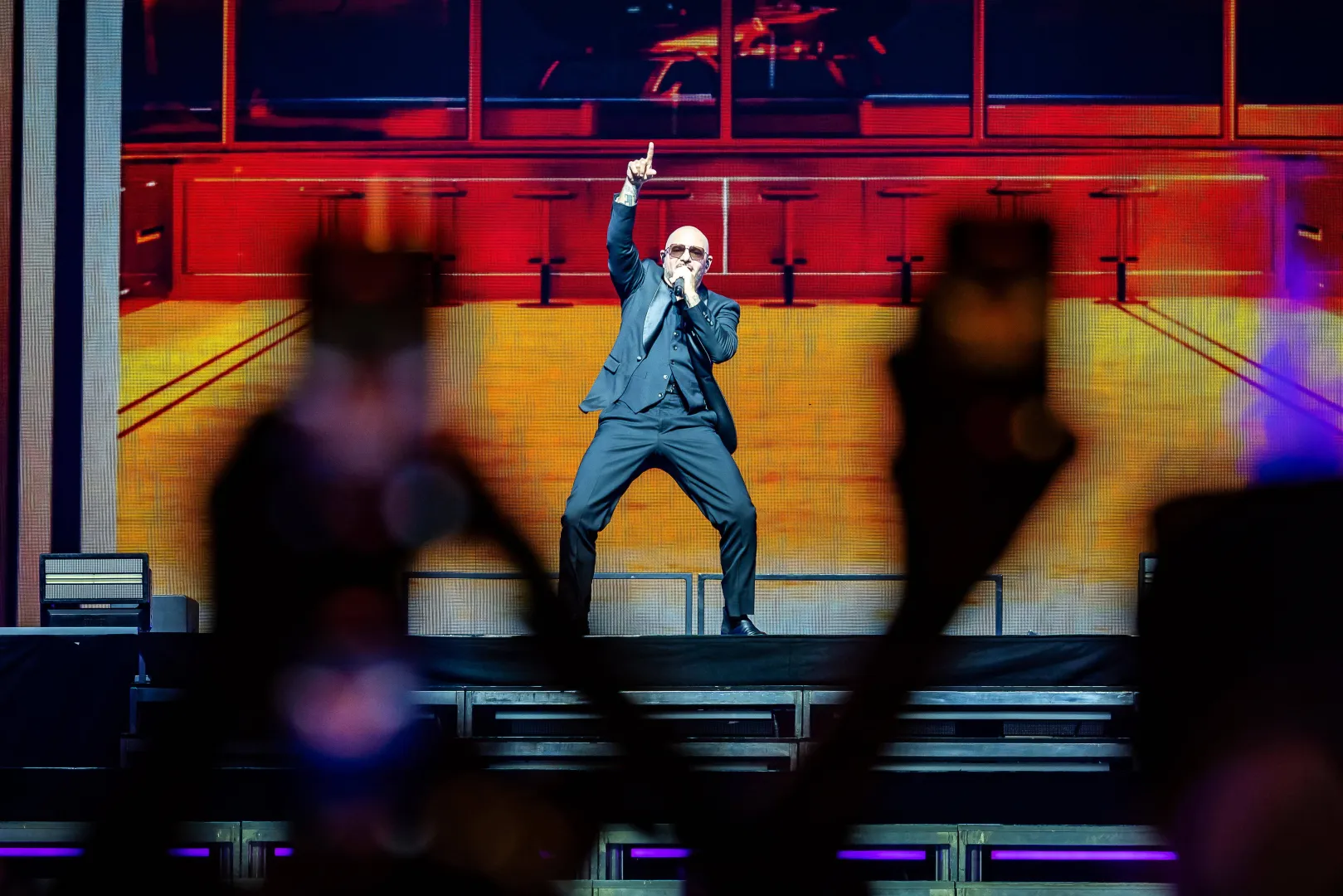 Pitbull. Fot. PAP/EPA/MARCEL KRIJGSMAN