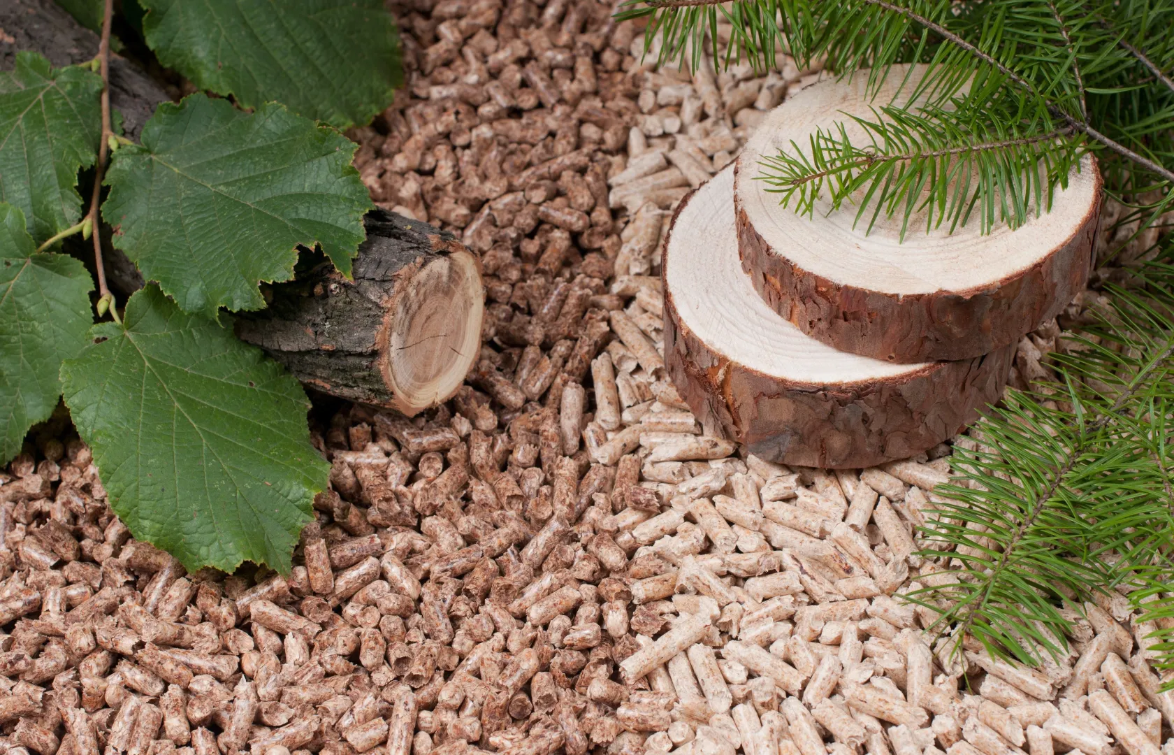 Fot. IGU OZE i Polskiego Przemysłu