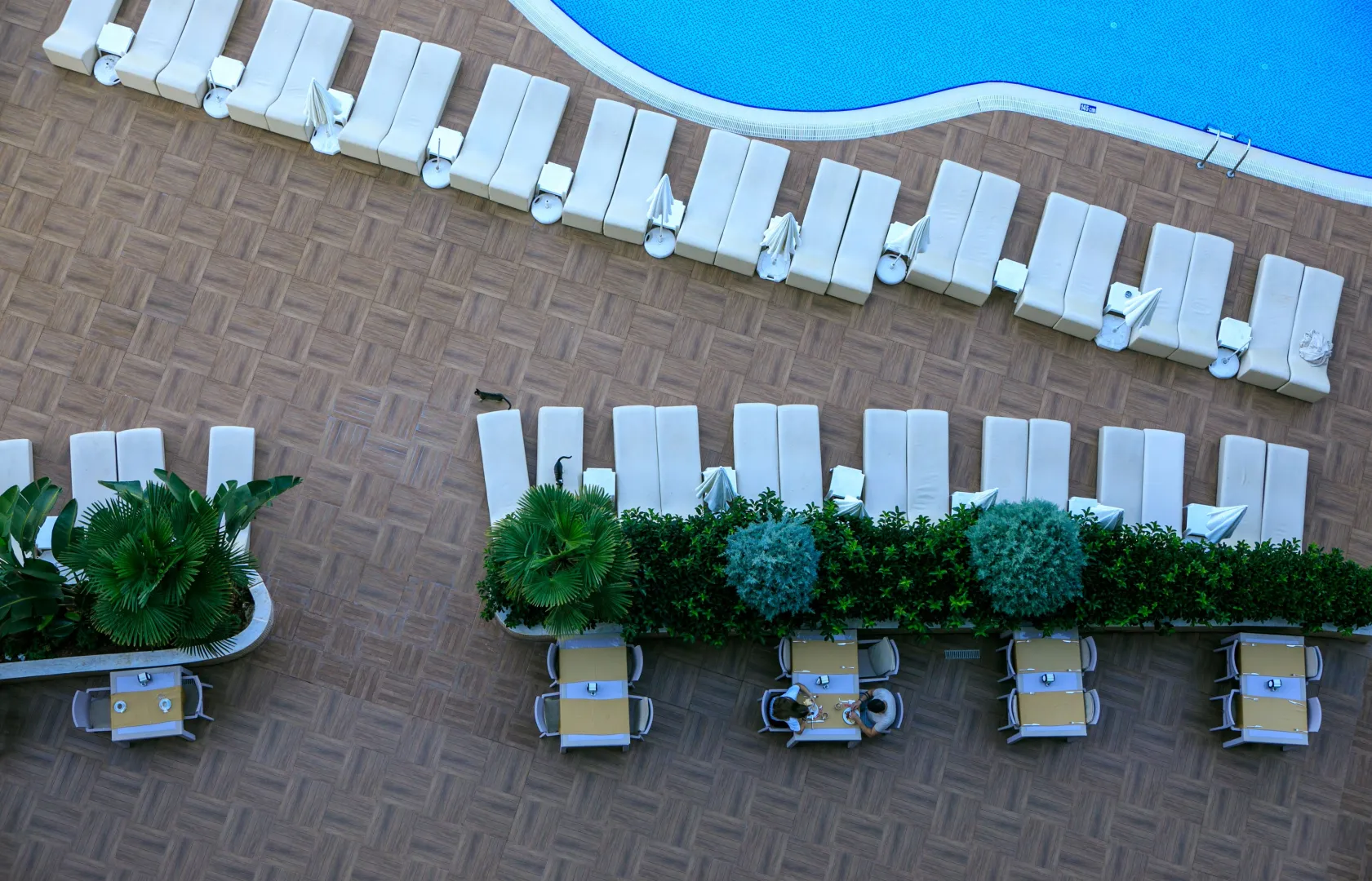 Fot. PAP MediaRoom / P. Werewka