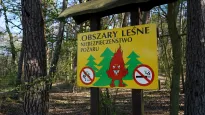 Tablica informacyjna w lesie w Szczecinie. Fot. PAP/Marcin Bielecki