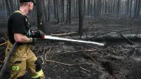 Działania ratowniczo-gaśnicze w kompleksie leśnym w miejscowości Osuchy. Fot. PAP/Wojtek Jargiło
