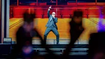 Pitbull. Fot. PAP/EPA/MARCEL KRIJGSMAN