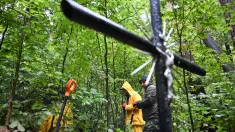 Prace poszukiwawcze na terenie wsi Jureczkowa, zdjęcie ilustracyjne, fot. PAP/Darek Delmanowicz