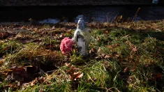 Znicz i kwiaty w okolicy miejsca znalezienia ciała 11-letniej dziewczynki w Jeleniej Górze. Fot. PAP/Krzysztof Ćwik