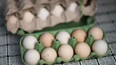 Jajka Fot. PAP/Leszek Szymański