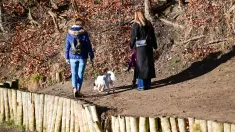 Spacer w słońcu Fot. PAP/Marcin Bielecki