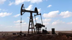 Ropa naftowa (zdjęcie ilustracyjne). Fot. EPA/MOHAMMED AL-RIFAI