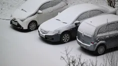 Mróz. Fot. PAP/Darek Delmanowicz