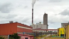 Zakłady Chemiczne „Police”, fot. PAP/Marcin Bielecki