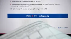 Rozliczanie PIT przez internet. Fot. PAP/Darek Delmanowicz