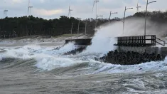 Wiatr nad morzem bałtyckim. Fot. PAP/Piotr Kowala