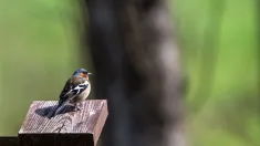 Słoneczna pogoda. Zdj. ilustracyjne. Fot. PAP/Darek Delmanowicz