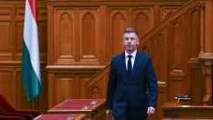 Peter Magyar, fot. PAP/EPA/MTI/Tibor Illyes