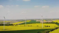 Fot. PAP - kadr z filmu