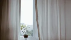 Unsplash