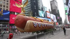 „Hot Dog: The Second Serving”. Fot. PAP/EPA/SARAH YENESEL