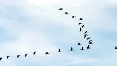 2007.10.15 PAP/Darek Delmanowicz