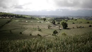 Fot. PAP/EPA/JASON SZENES