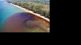 Fot. PAP/EPA/ROYAL THAI NAVY