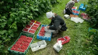 Zdjęcie ilustracyjne. Fot.PAP/Wojciech Pacewicz 