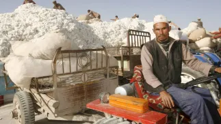 Ujgurscy rolnicy w trakcie zbiorów bawełny. Fot. PAP/EPA/MICHAEL REYNOLDS