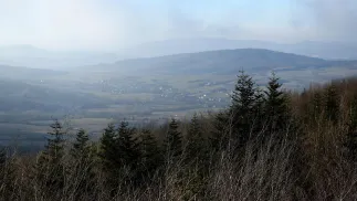 Najczęściej rezerwacje są ograniczone do samych świąt Bożego Narodzenia lub powitania nowego roku. Zdjęcie ilustracyjne. Fot. PAP/Darek Delmanowicz