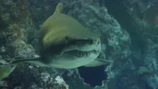 Fot. Pixabay (zdjęcie ilustracyjne)