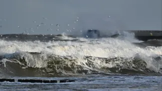 Morze Bałtyckie. Fot. PAP/Marcin Bielecki