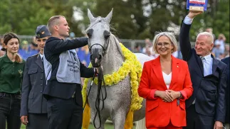 Wicemarszałek Sejmu Dorota Niedziela (2P) i klacz Adelita (3P) podczas pokazu na Dniach Konia Arabskiego 2024 w Janowie Podlaskim, 11 bm. W tym roku wydarzenie trwa pięć dni – od piątku 9 do wtorku 13 sierpnia. Jego kulminacyjnym punktem będzie zaplanowana na niedzielę 55. Aukcja Koni Arabskich Czystej Krwi Pride of Poland. (aldg) PAP/Wojtek Jargiło