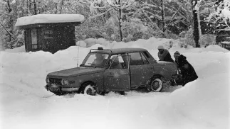 Fot. PAP/Stanisław Momot